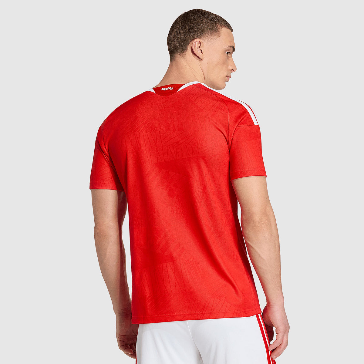 Jersey Benfica 2026/27 Home Fan