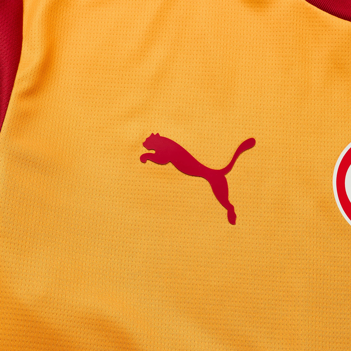 Jersey Galatasaray 2026/27 Home Fan