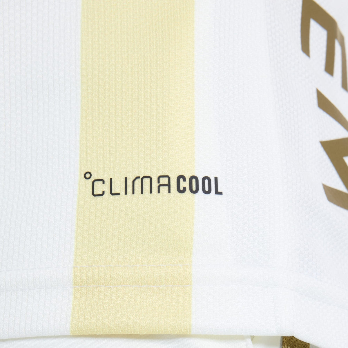 Jersey Fenerbahce 2026 Home Fan