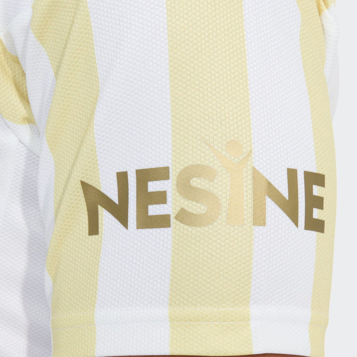 Jersey Fenerbahce 2026 Home Fan