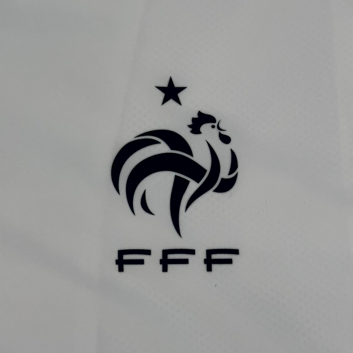 Tracksuit France 2010 Retro
