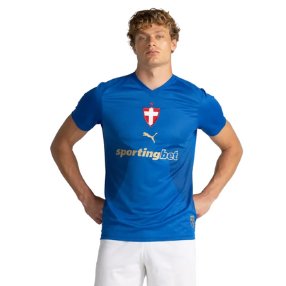 Jersey Palmeiras 2026/27 HomeHome Fan