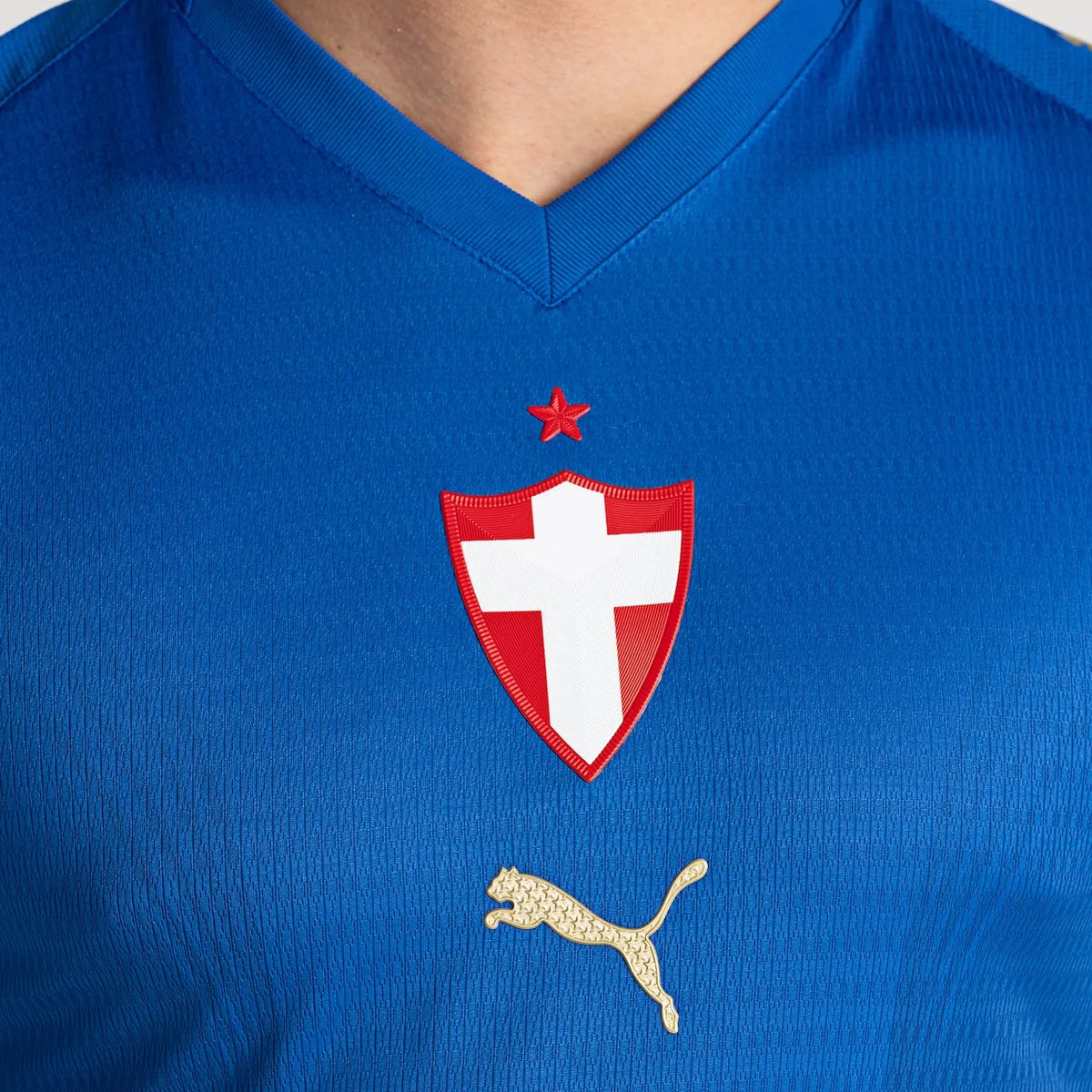 Jersey Palmeiras 2026/27 HomeHome Player
